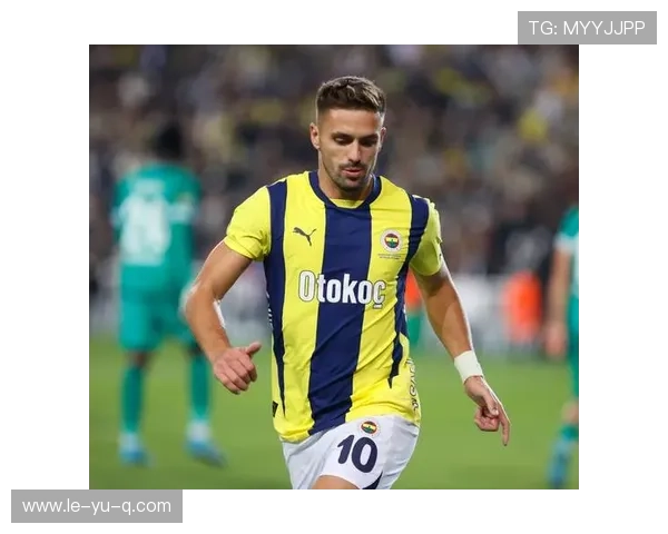 费内巴切足球俱乐部:新赛季展望与阵容变化分析 费内巴切足球俱乐部:新赛季展望与阵容变化分析